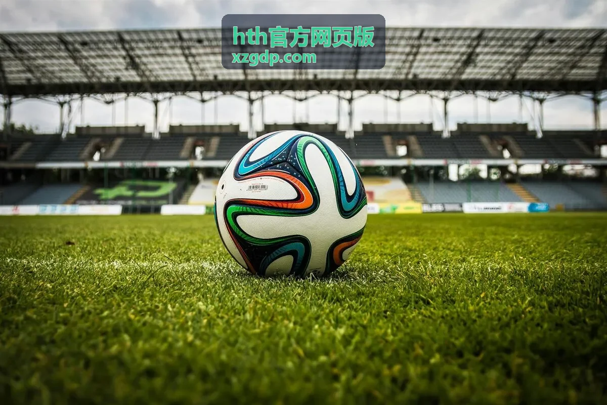 hth官方网页版 入口核对示意