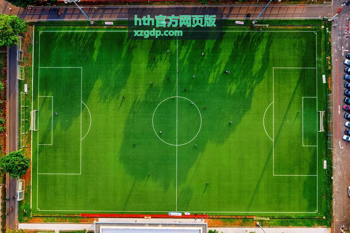 hth官方网页版 播放参数设置面板