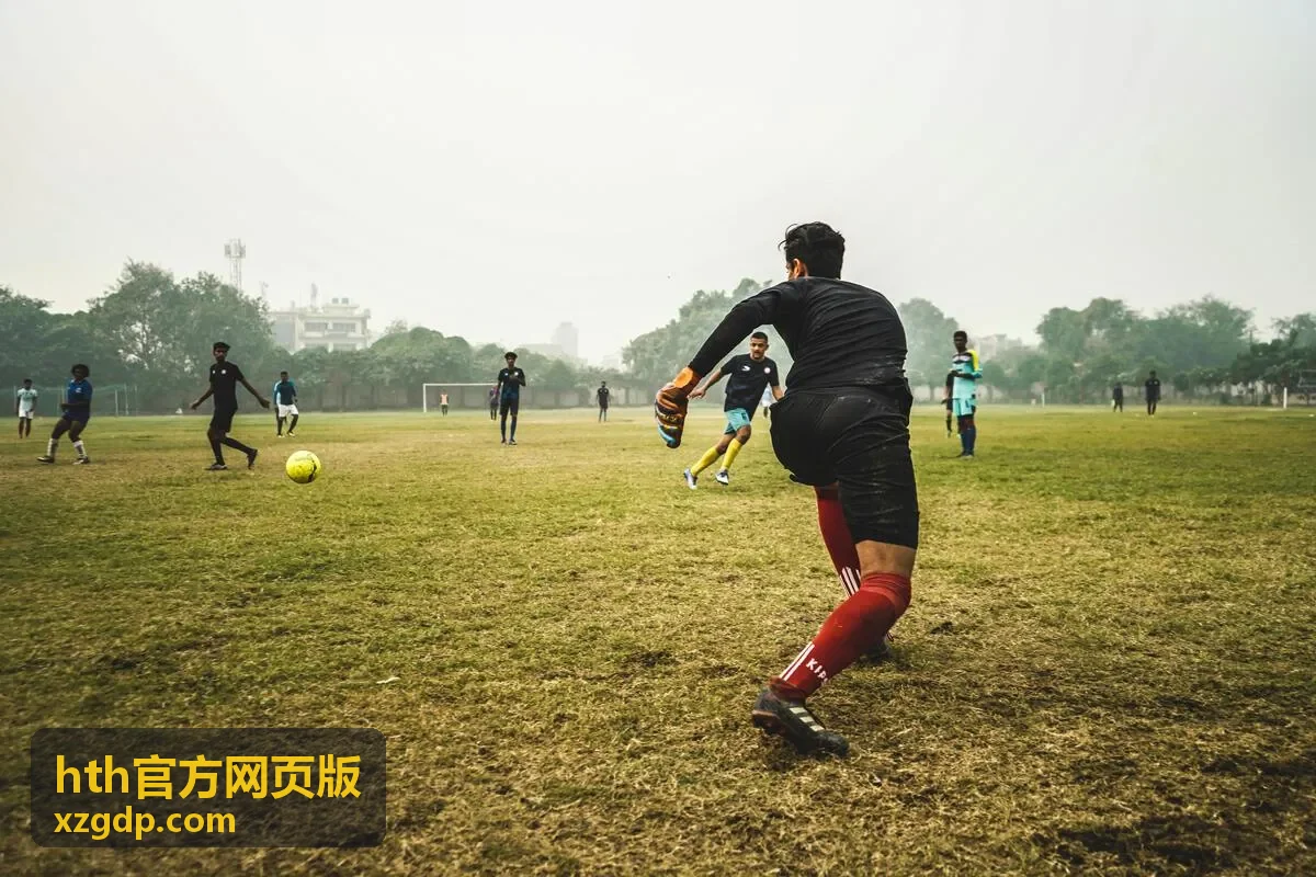 hth官方网页版 条目字段说明